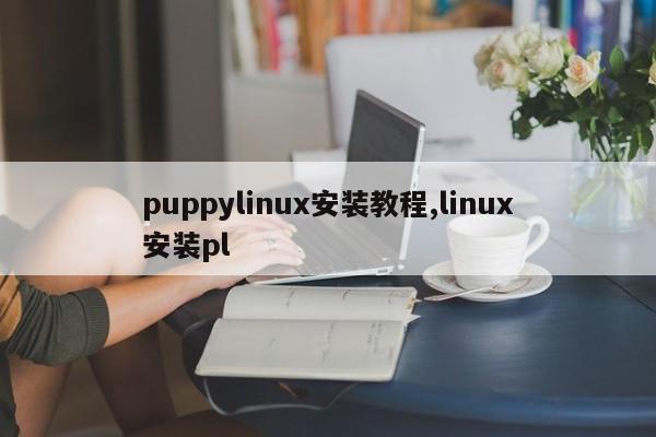 puppylinux安装教程,linux安装pl