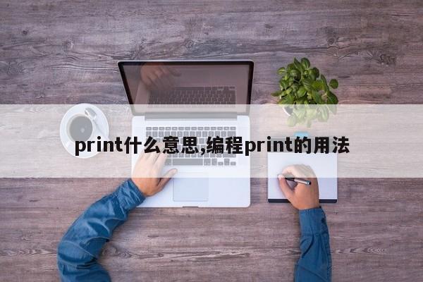 print什么意思,编程print的用法