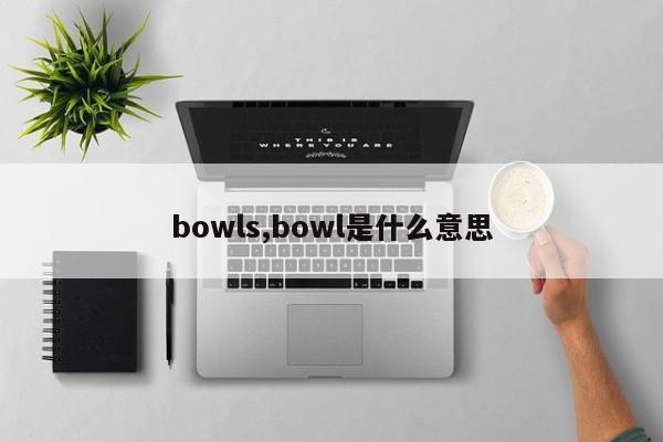 bowls,bowl是什么意思